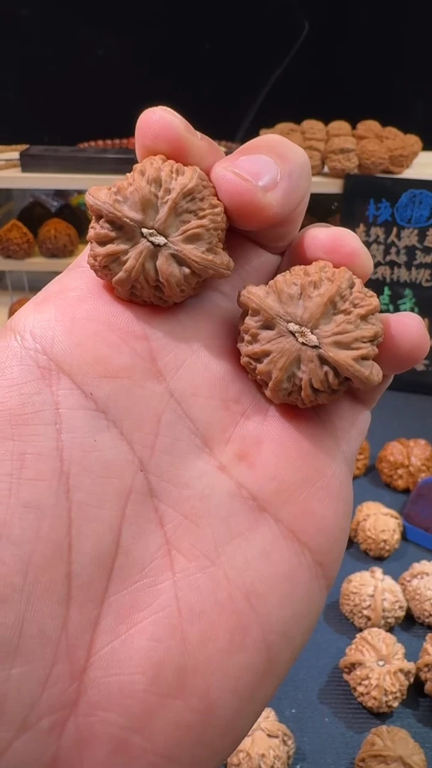 核桃大*京东第一矮