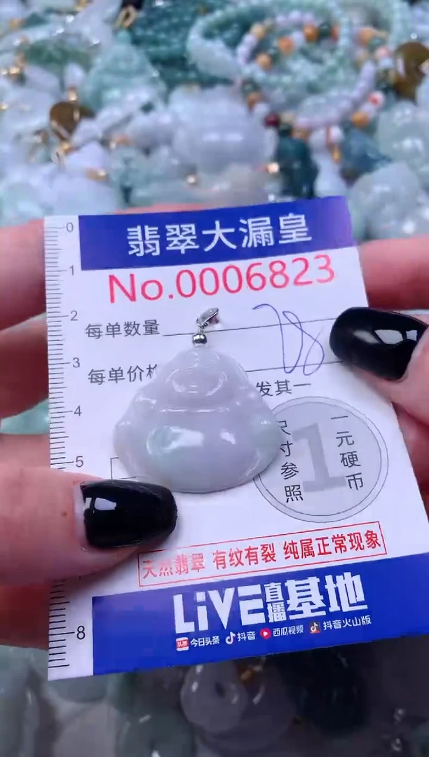 颈饰未镶嵌翡翠6823