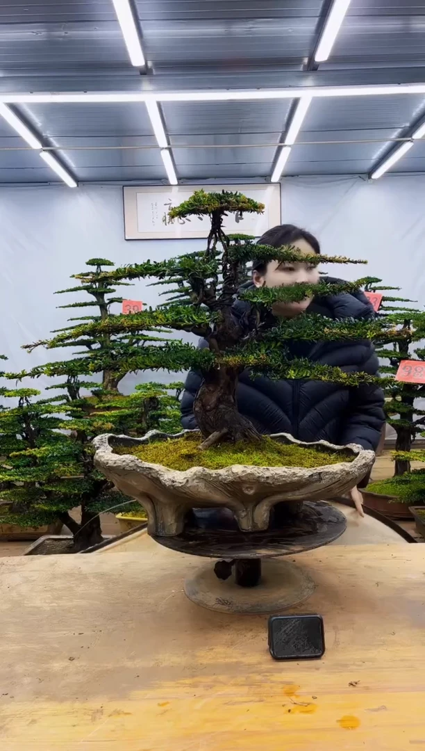 无花朵一物一拍·所见即所得