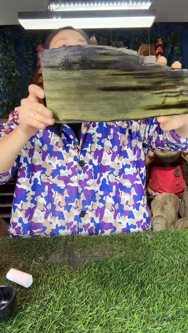 金丝楠小叶桢楠3