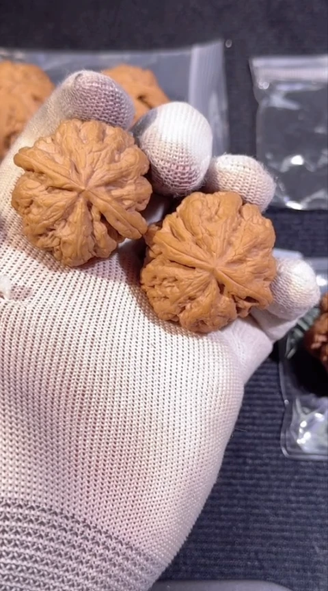 木质类大粗筋42全品