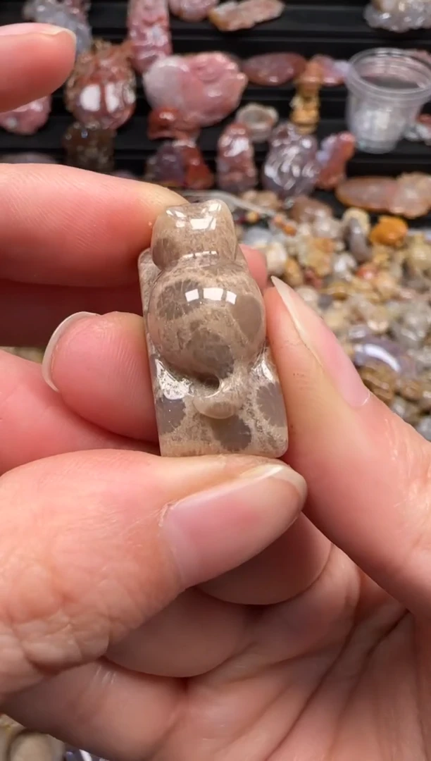 【闪购商品】硅化珊瑚（珊瑚玉）颈饰未镶嵌139