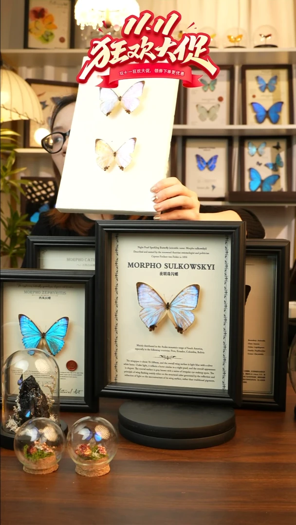 夜明珠闪蝶-英文（8寸欧式黑框）定制