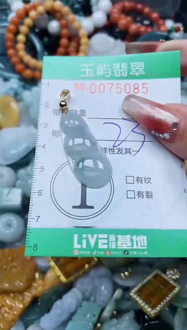 【闪购商品】翡翠颈饰未镶嵌闪购0075085