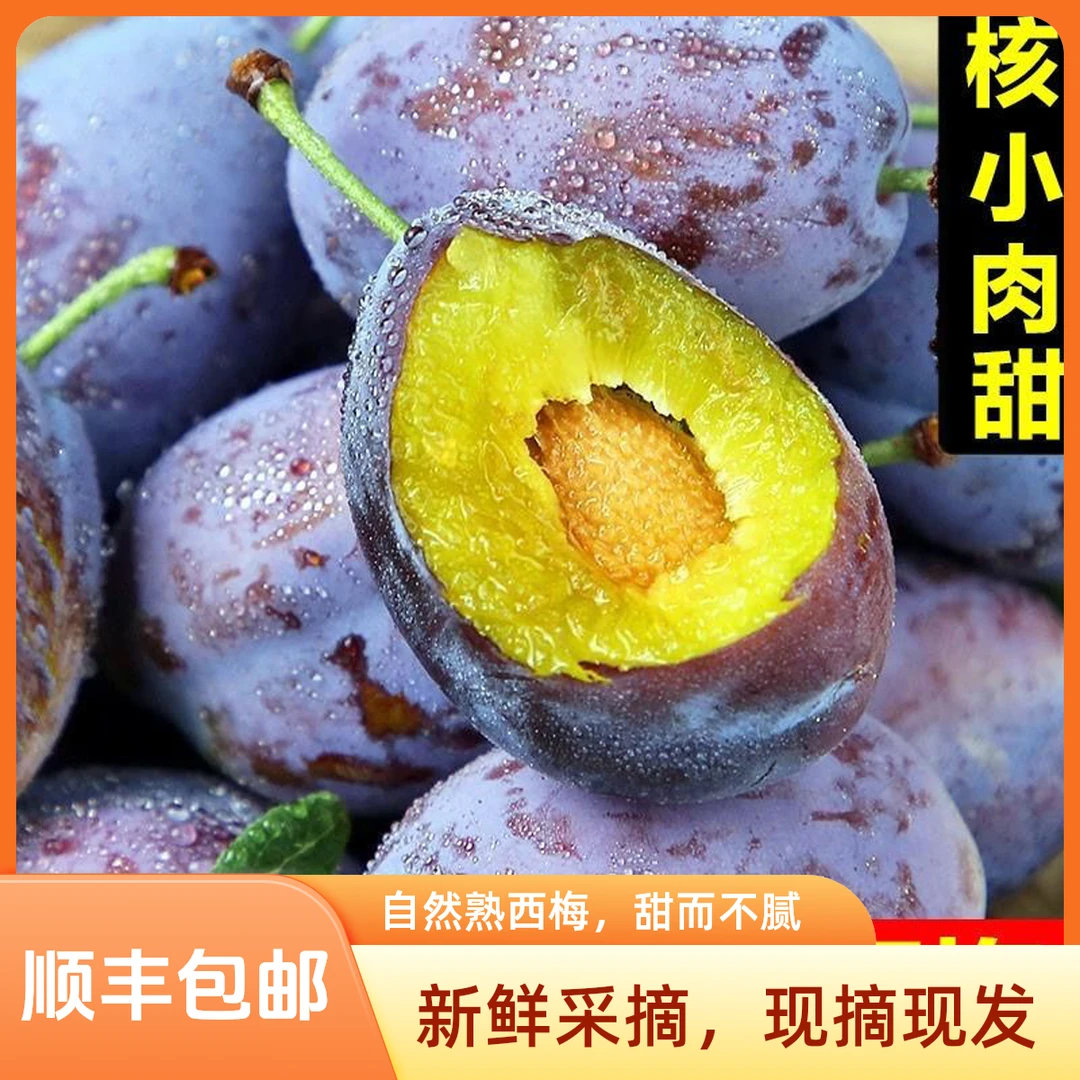 【顺丰包邮】新鲜现摘西梅4.5-5斤香甜多汁当季水果产地直采