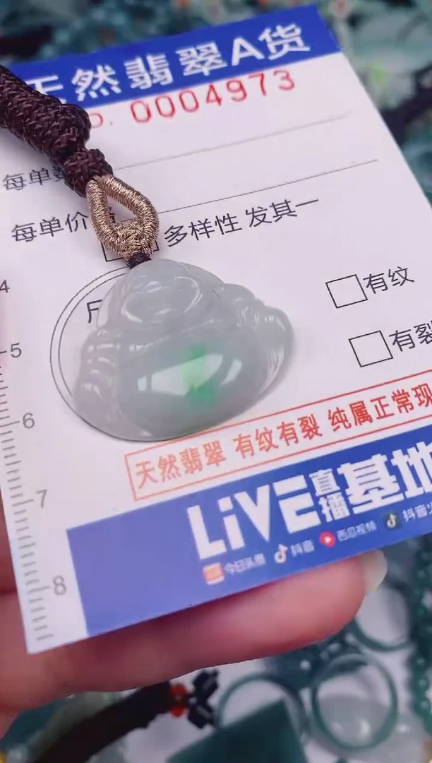颈饰未镶嵌翡翠00004973