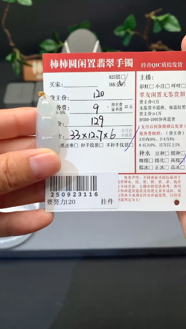 颈饰18K金镶嵌翡翠鄢*茹姐姐250923116