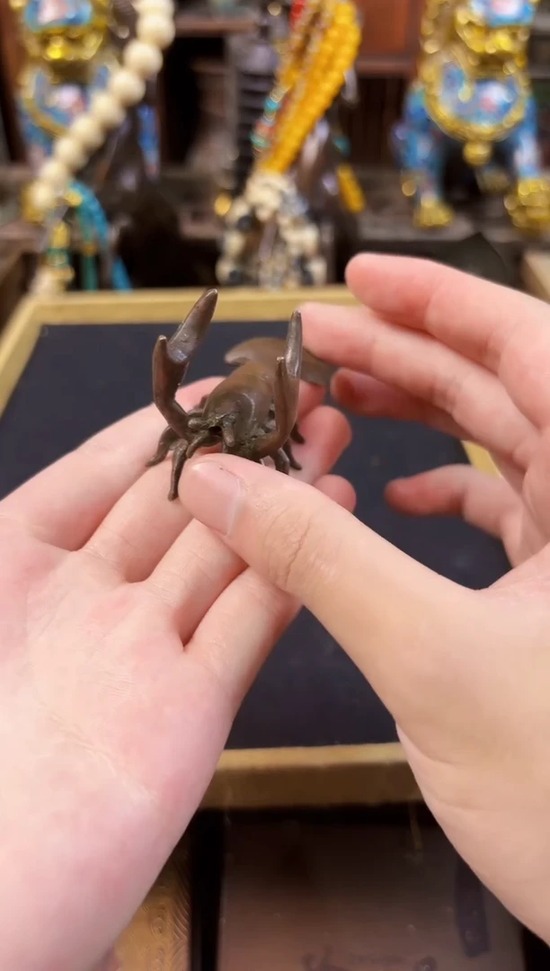 ----------------------