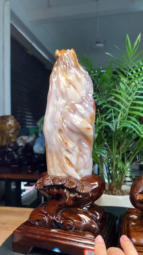 未镶嵌硅化玉（树化玉）珠宝奇石重*1120