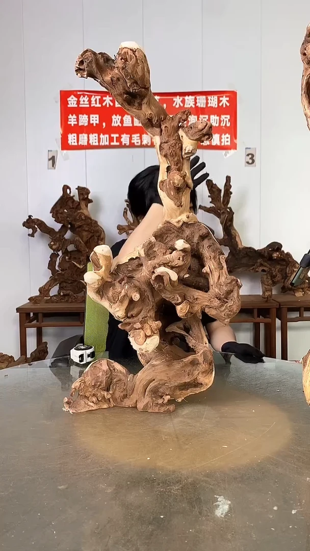 香榧木精**歌金丝红木   羊蹄甲