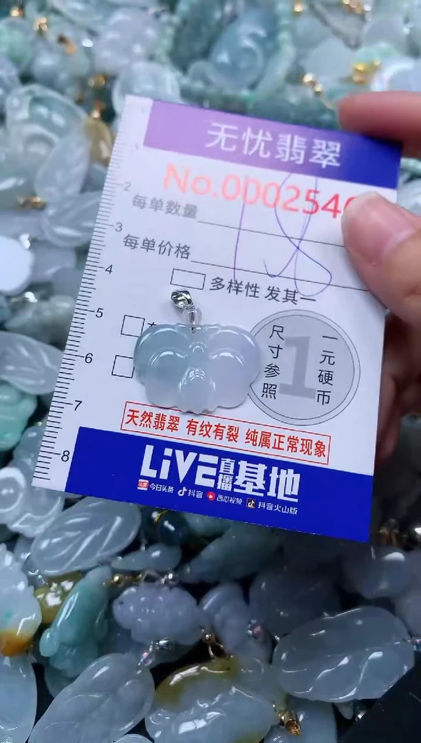 颈饰未镶嵌翡翠2546