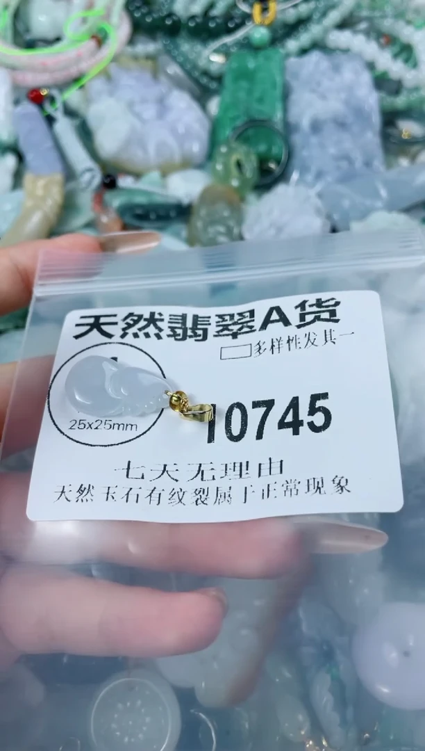 翡翠未镶嵌颈饰10745