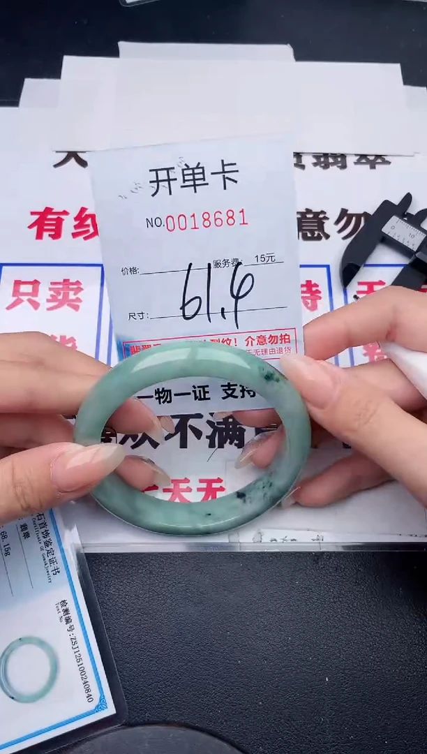 未镶嵌手镯翡翠81