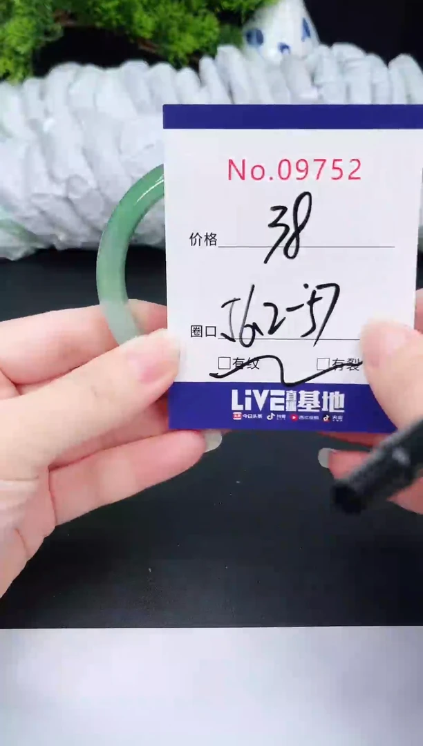 未镶嵌手镯翡翠9752