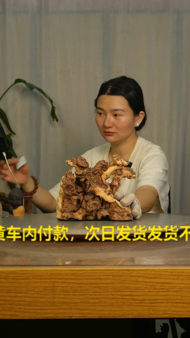 木蜡*云南红河金丝红916