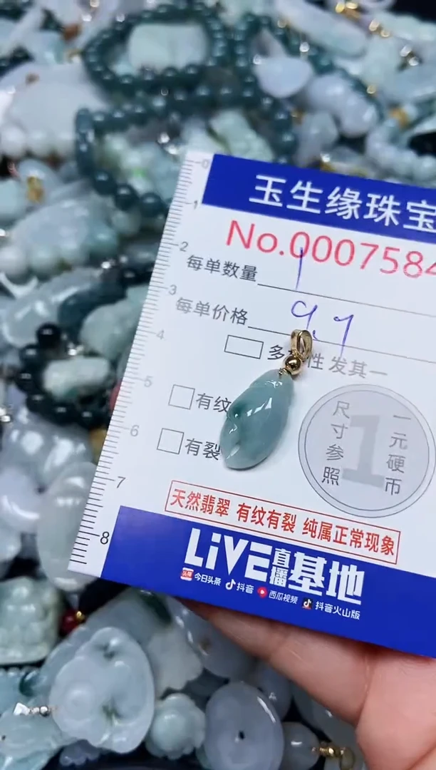 【闪购商品】翡翠颈饰未镶嵌闪购00007584