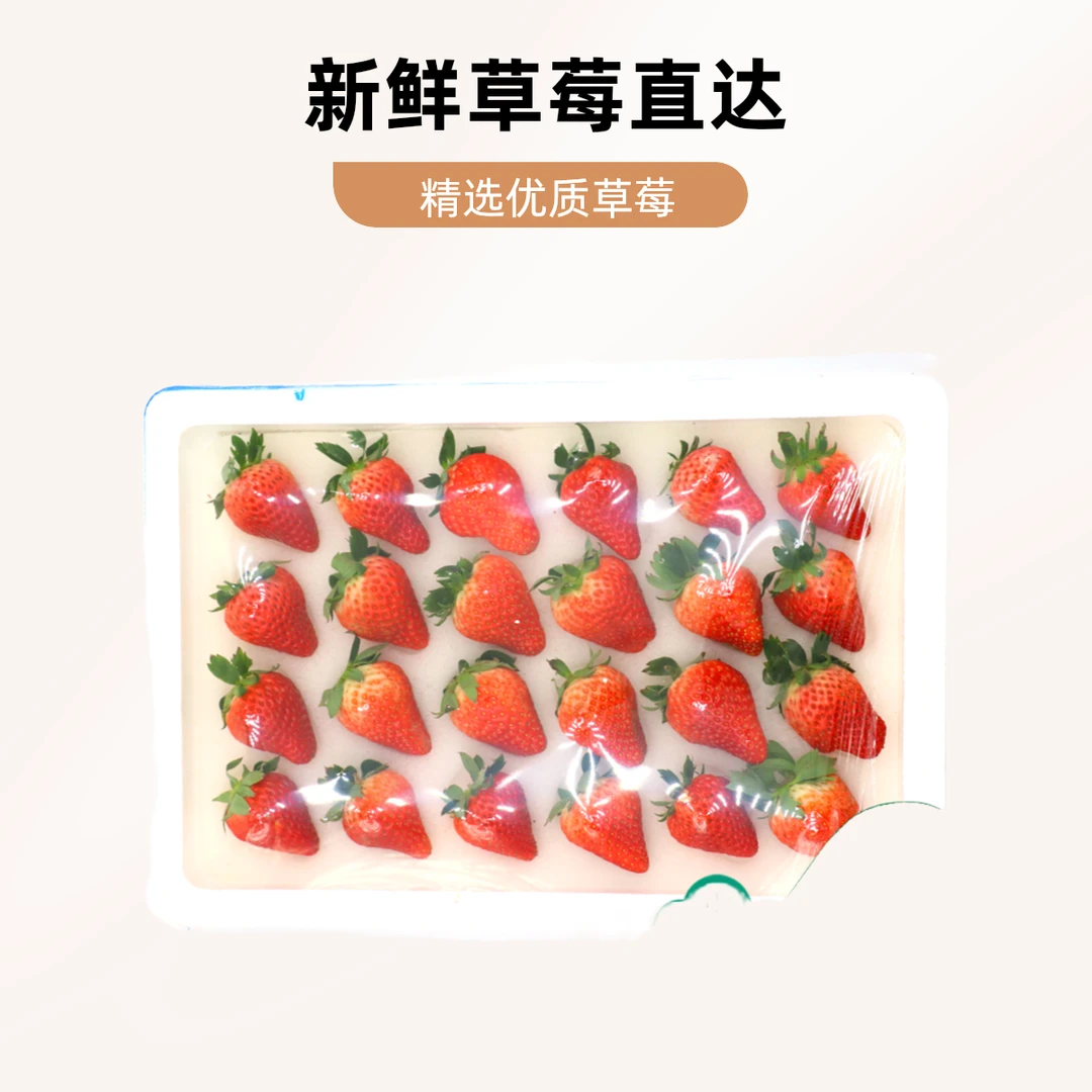 山东甜宝草莓三斤 保质保量