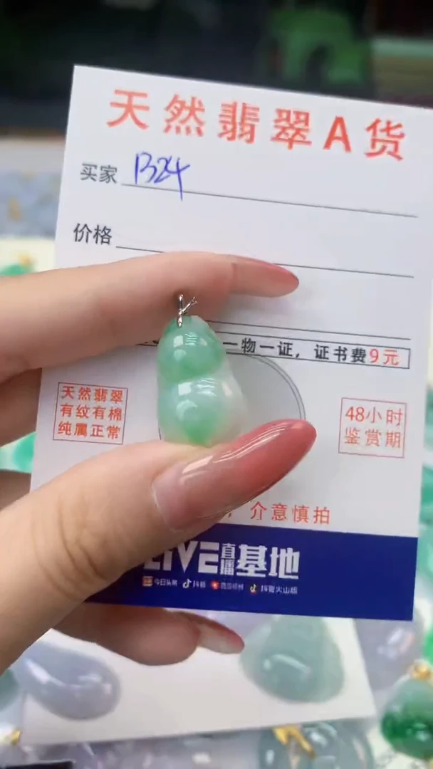 颈饰银S925镶嵌翡翠天然A货翡翠挂件