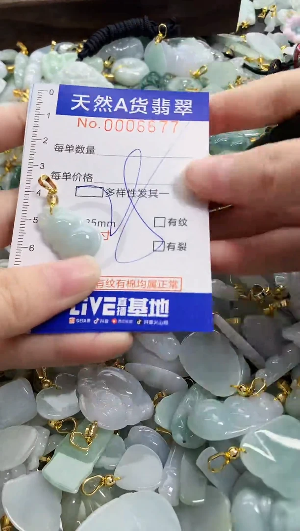 颈饰未镶嵌翡翠天然A货翡翠