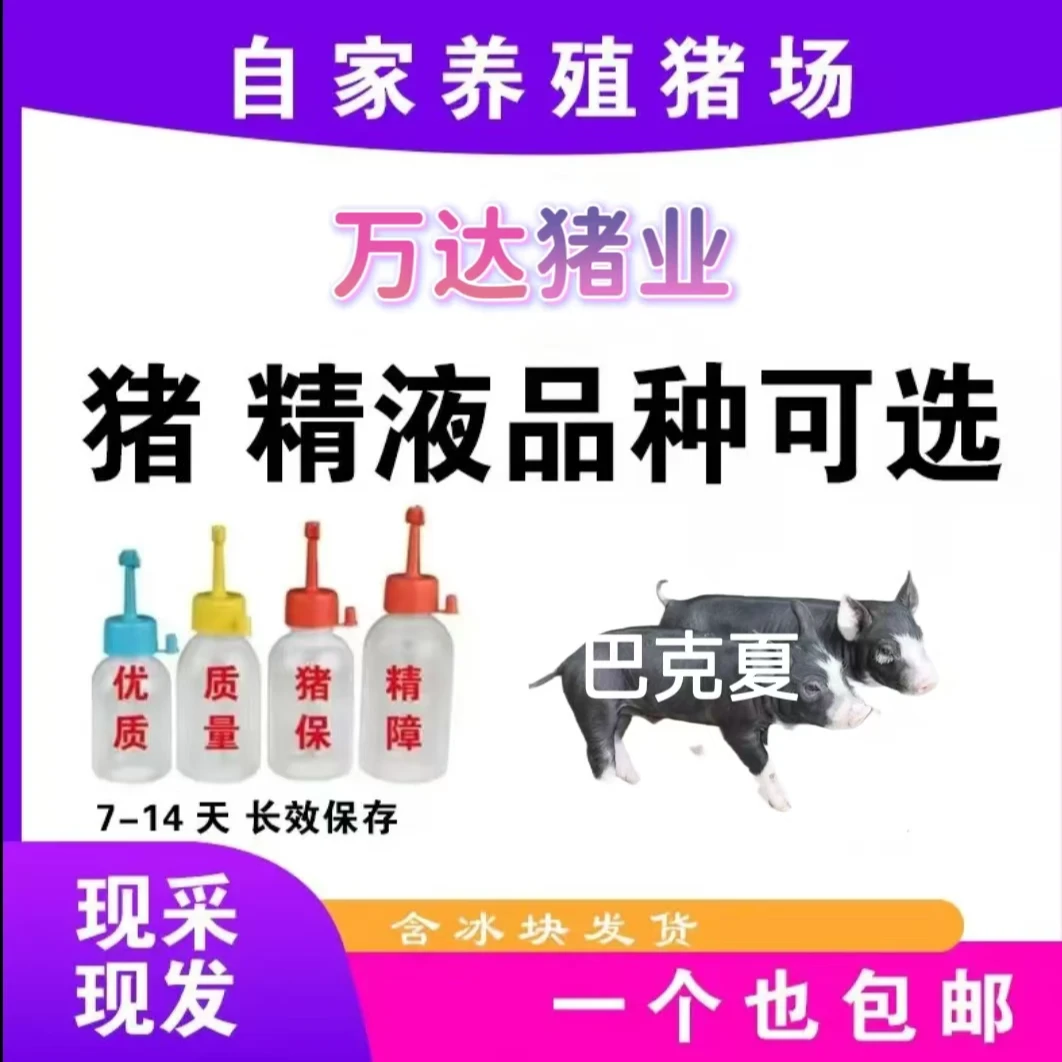 精品巴克夏种公精液一件包邮包对版生态养殖批发输精管猪用耗材