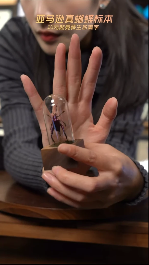 紫茎甲胡桃木试管款