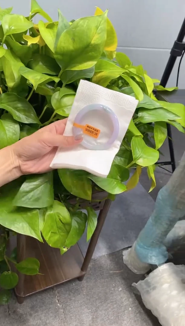 未镶嵌手镯翡翠000082843