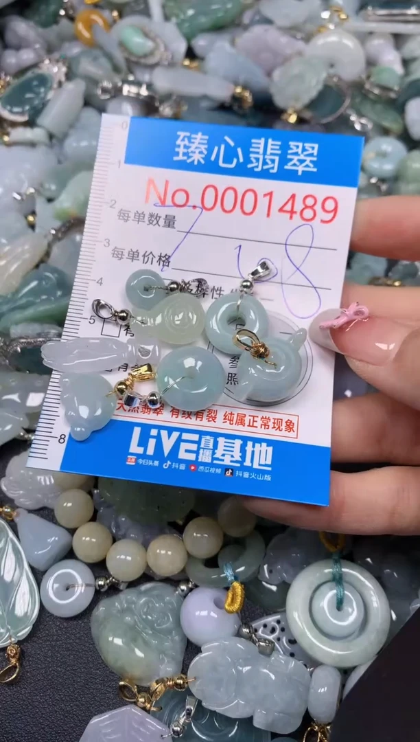 【闪购商品】翡翠颈饰未镶嵌含绳0001489