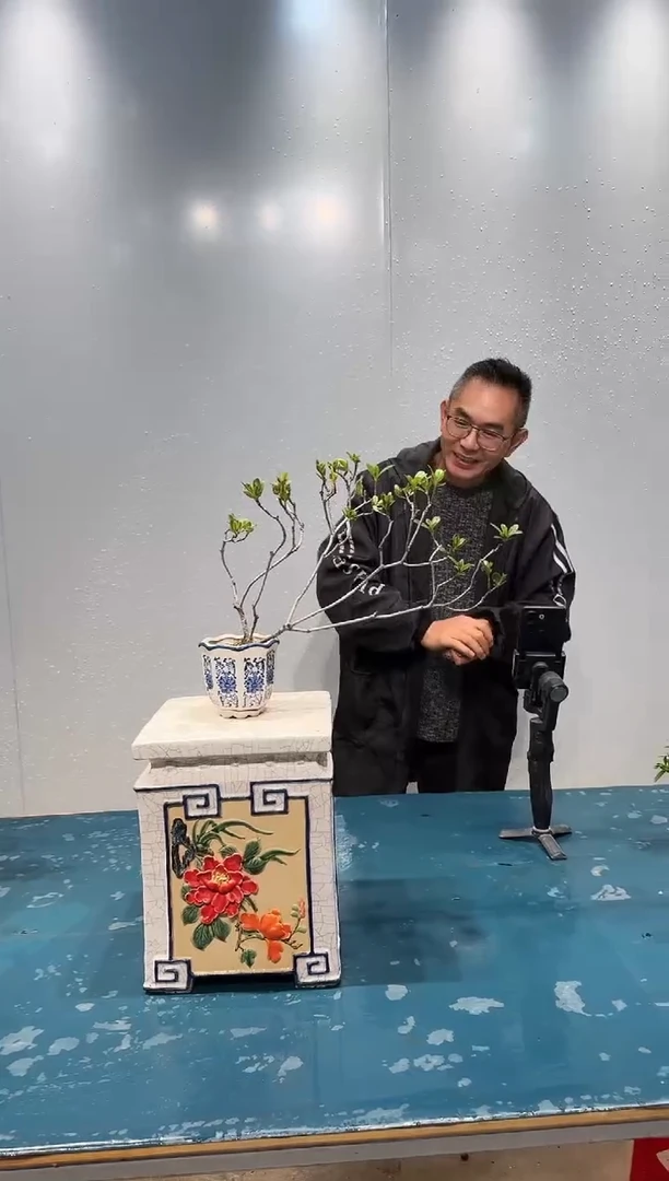 无花朵海岛春花海岛春花