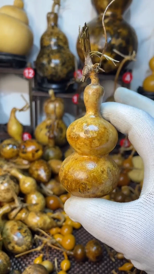 【闪购商品】葫芦葫芦葫芦葫芦葫芦