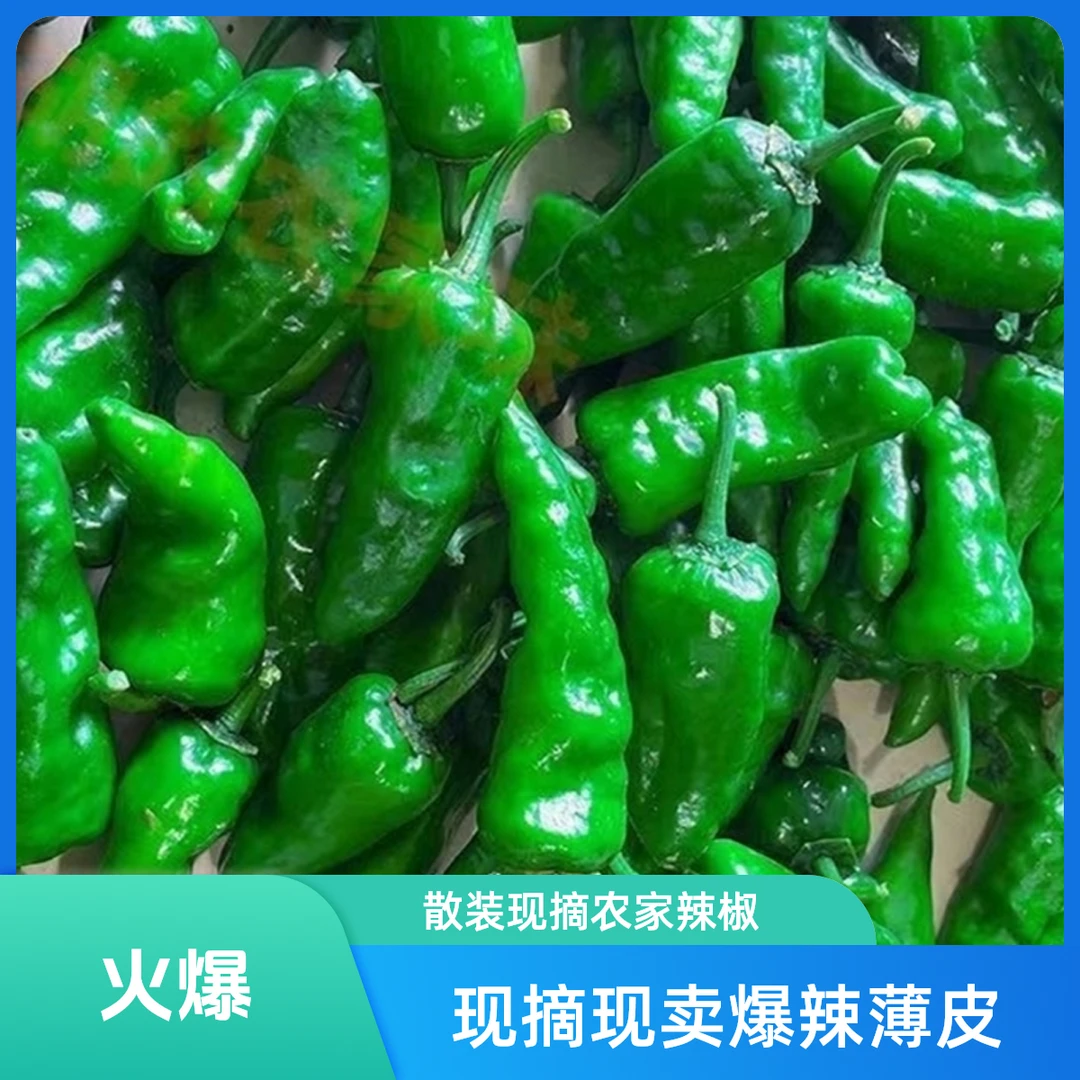 正品辣椒正宗现摘现卖余干辣椒现摘农家爆辣薄皮子弹头小青椒包邮