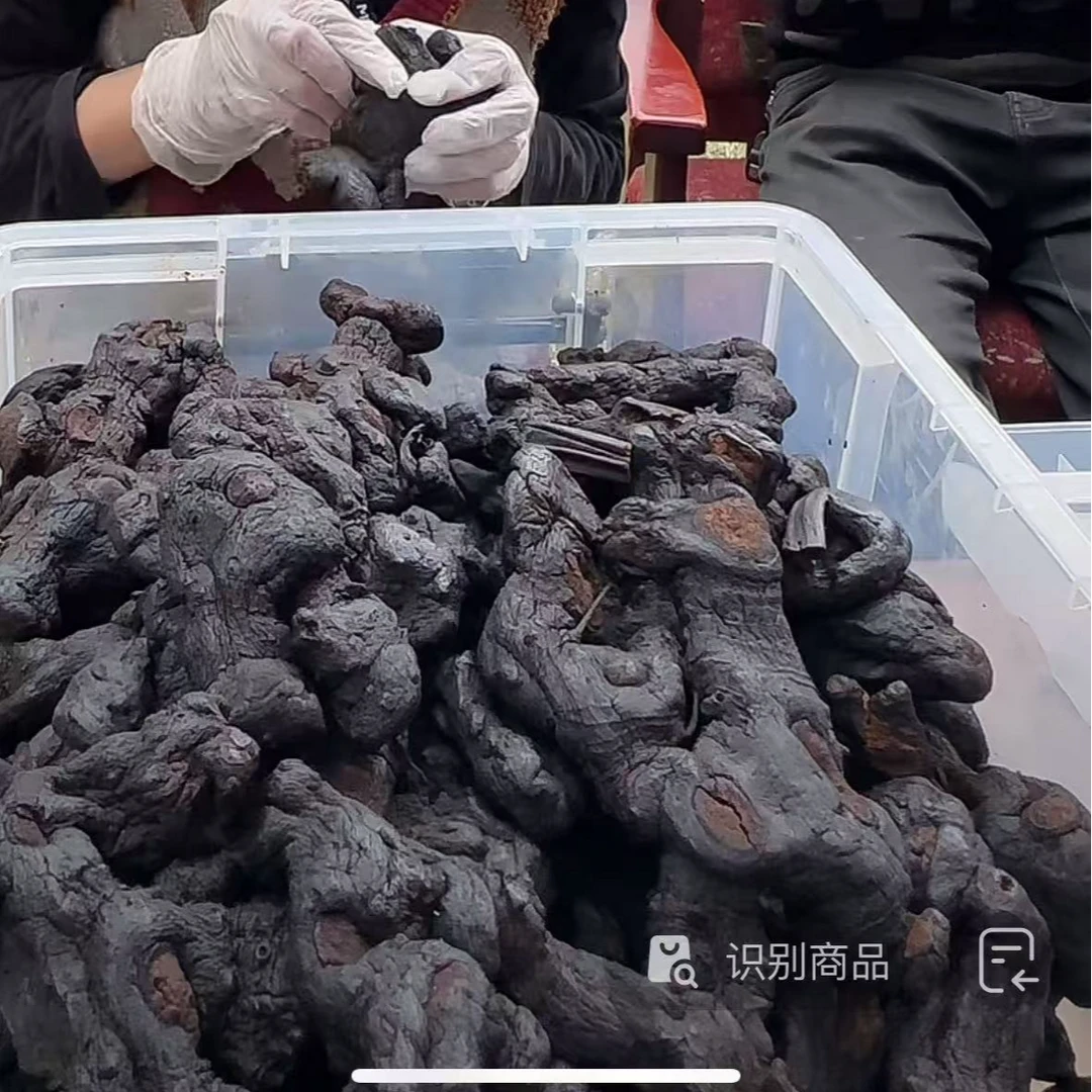 【山货土特产】九蒸九晒 1斤3个 巨型 仙人余粮