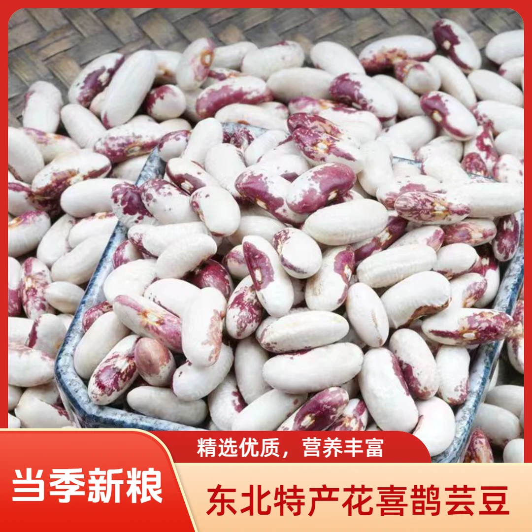 东北特产花喜鹊芸豆花腰豆一点红豆新货可用于煮饭熬粥五谷杂粮