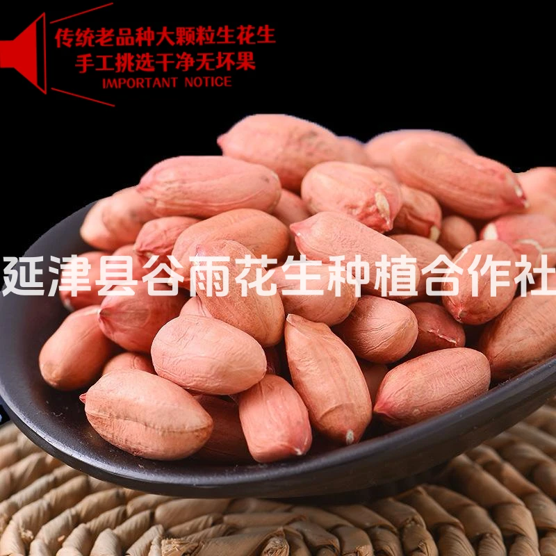 河南传统老品种大颗粒生花生黄河故道白沙地种植甘甜可口自产自销