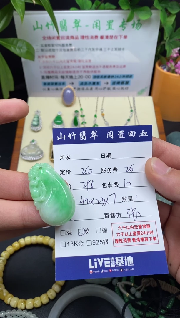 颈饰未镶嵌翡翠3001656