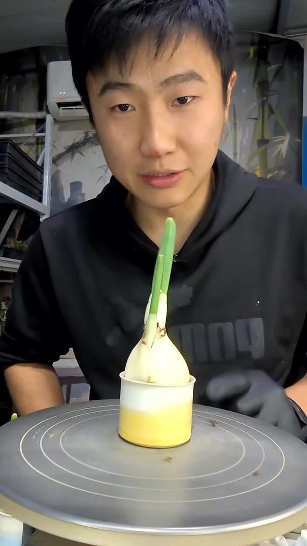 捏**吱中青园艺一物一拍花103