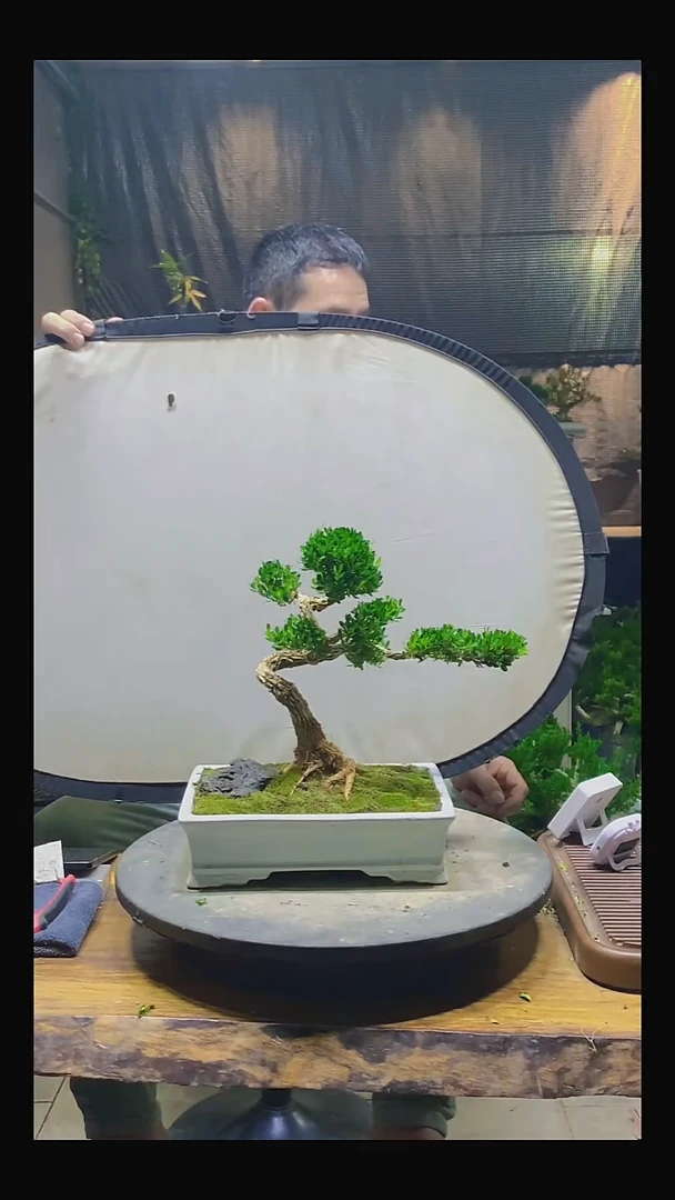 完全开放j*n1111111111