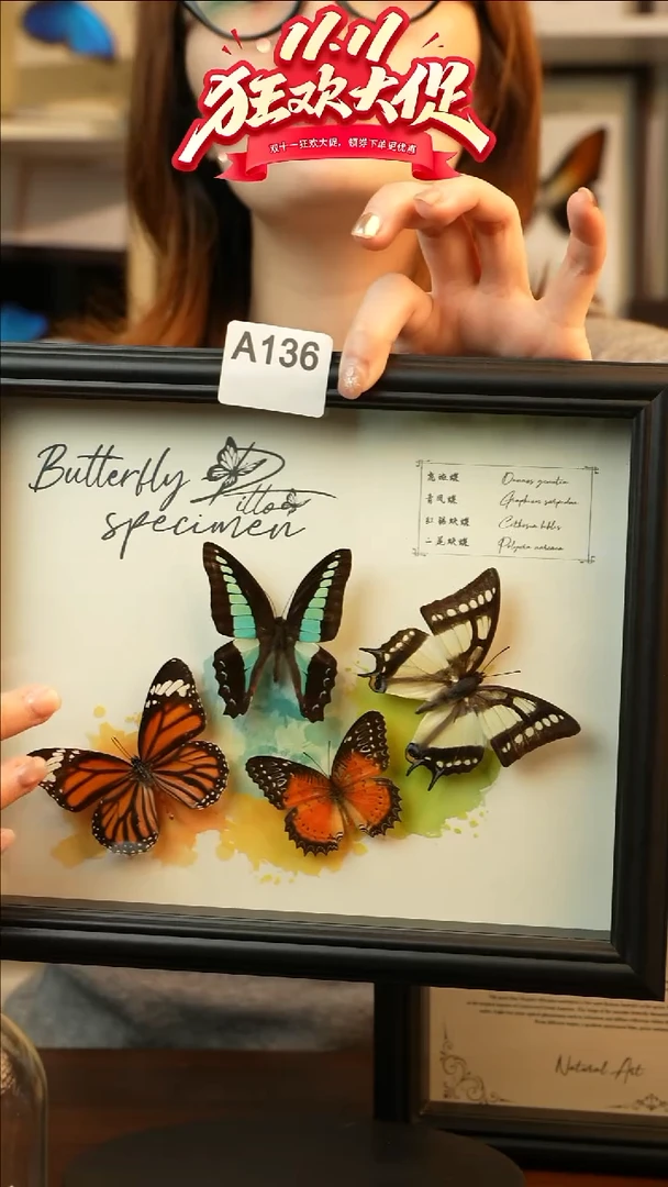 四色蝴蝶组合（10寸欧式黑框）A136