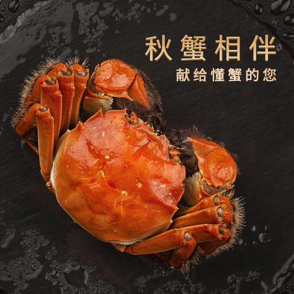 H17【活蟹】苏州大闸蟹公蟹5.5-5.2母蟹4.5-4.2两/只螃蟹6/8/10只装顺丰/京东海鲜
