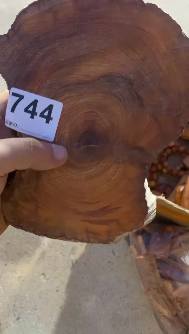 柏木（崖柏）太行陈化崖柏切片一片744