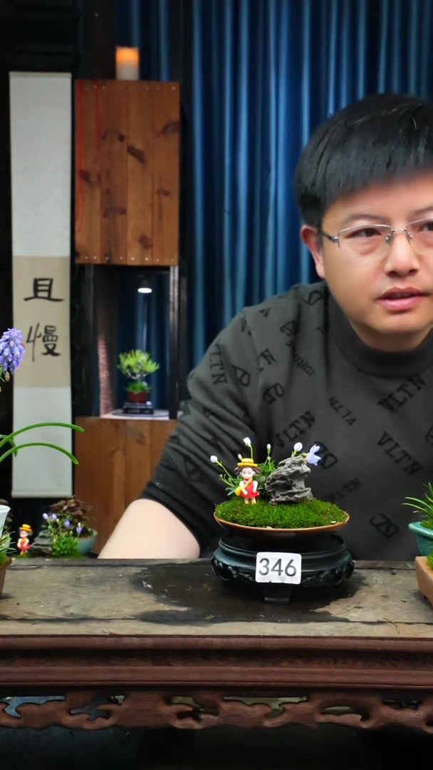【闪购商品】苔藓微景观346号