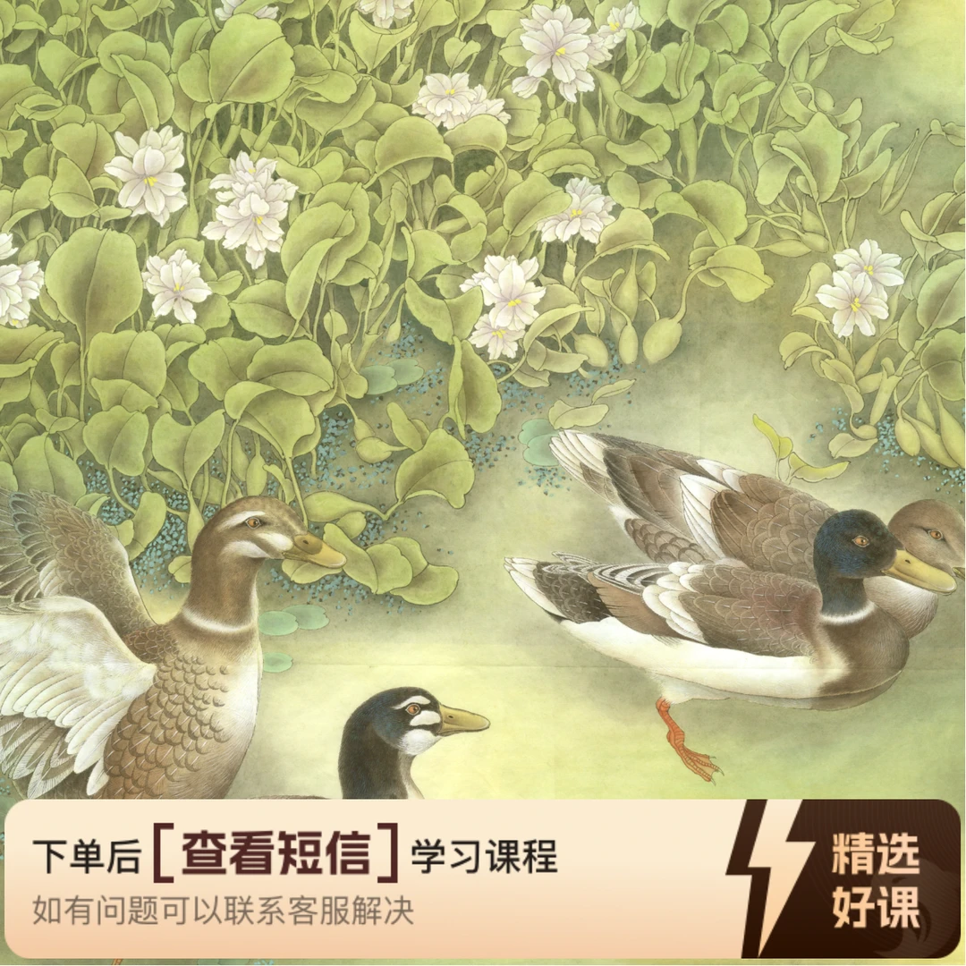 临摹习作，水草鸭子，长宽66厘米，电子版底稿（留意短信解锁课程）