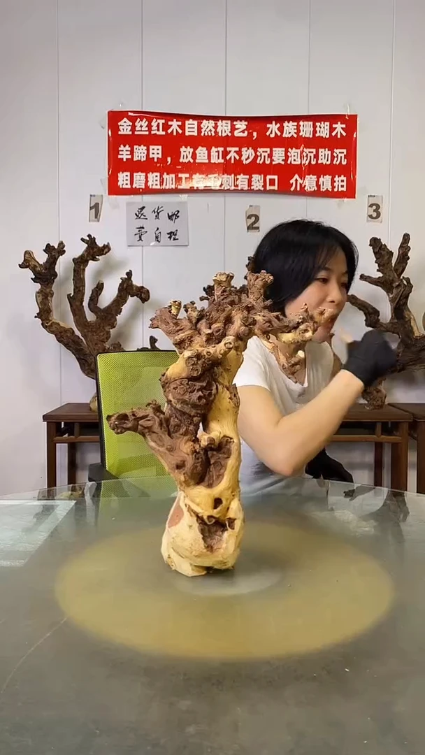 香榧木凌金丝红木   羊蹄甲
