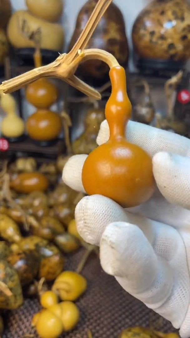 【闪购商品】葫芦葫芦葫芦葫芦葫芦