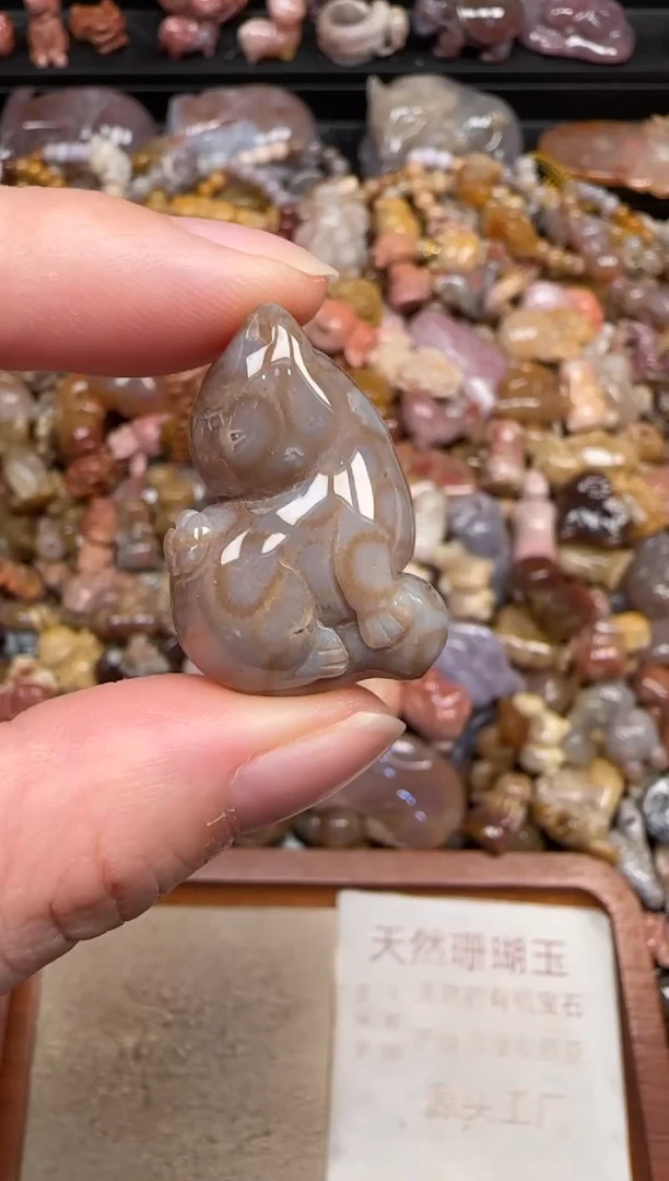 颈饰未镶嵌硅化珊瑚（珊瑚玉）471