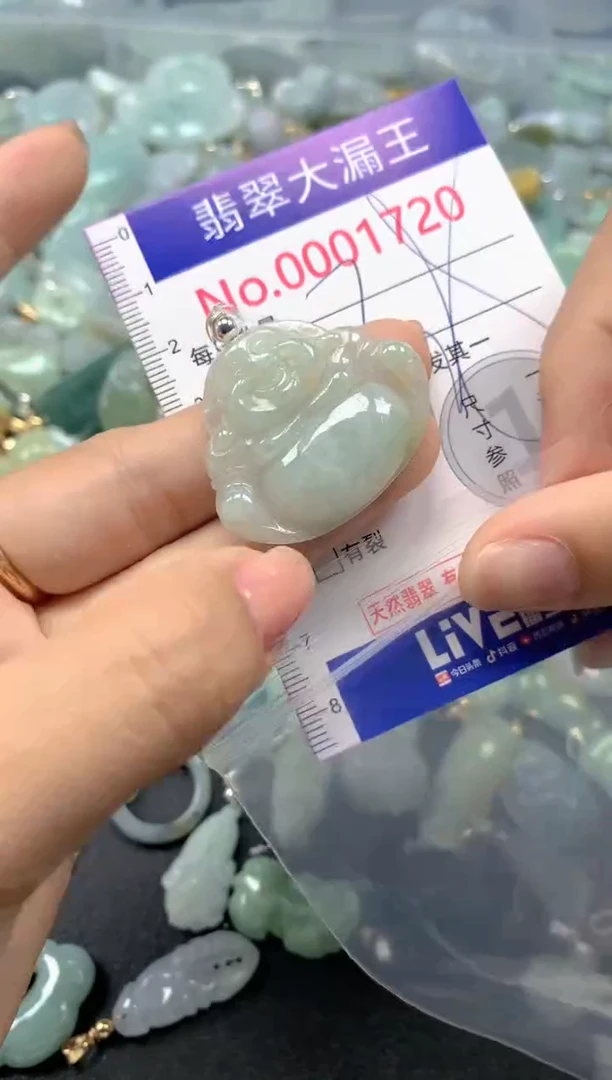 颈饰未镶嵌翡翠1720