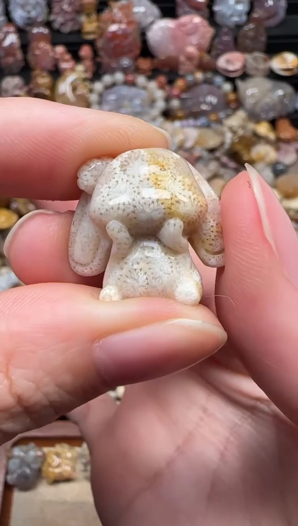 颈饰未镶嵌硅化珊瑚（珊瑚玉）609