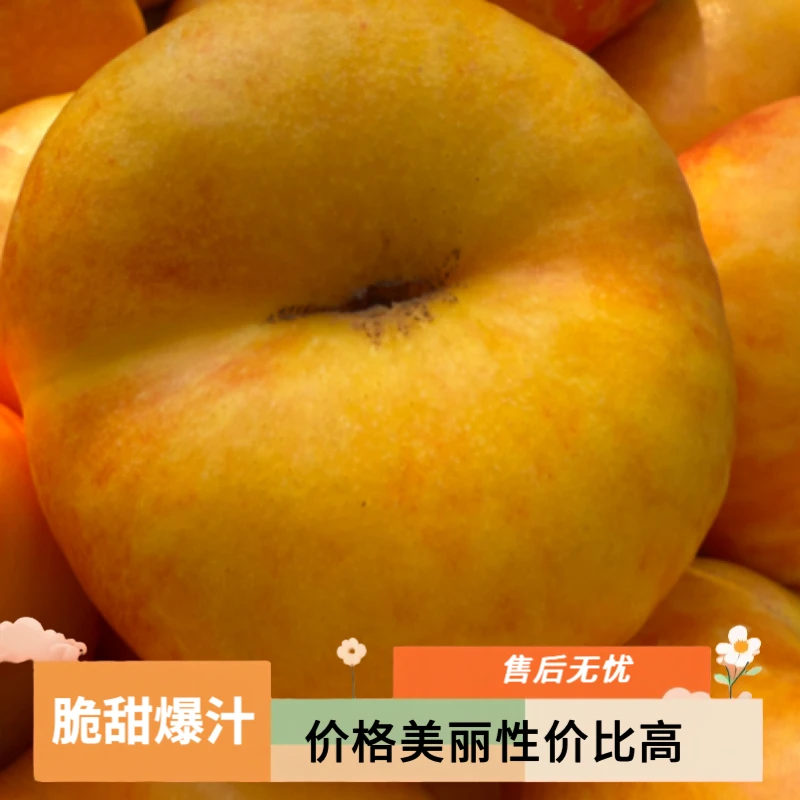 黄桃大果黄油蟠桃脆甜爆汁夏日尝鲜现货现发产地直供