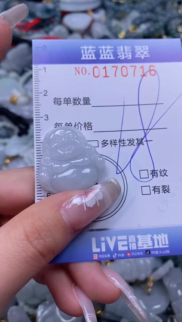 【闪购商品】翡翠颈饰未镶嵌闪购0170716