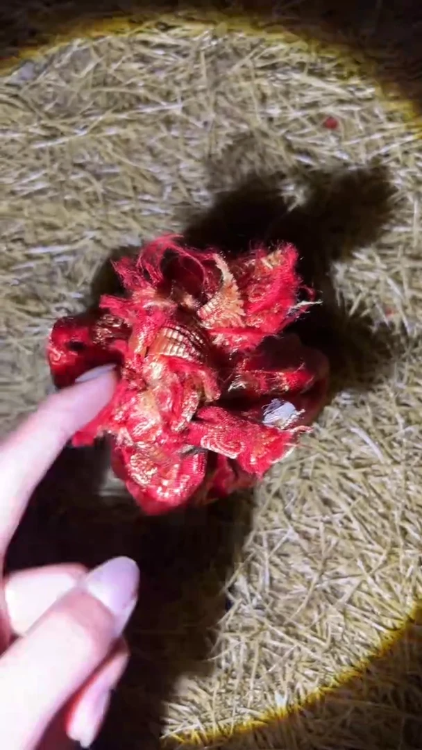琪琪精品链接66666666