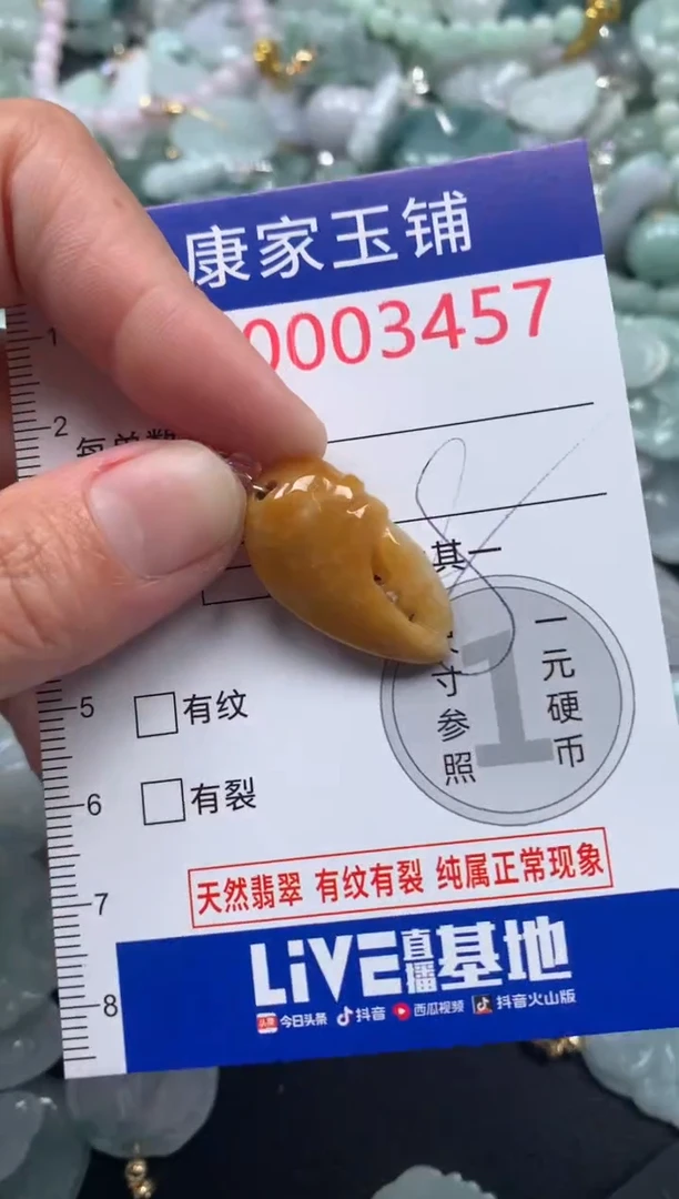 颈饰未镶嵌翡翠3457